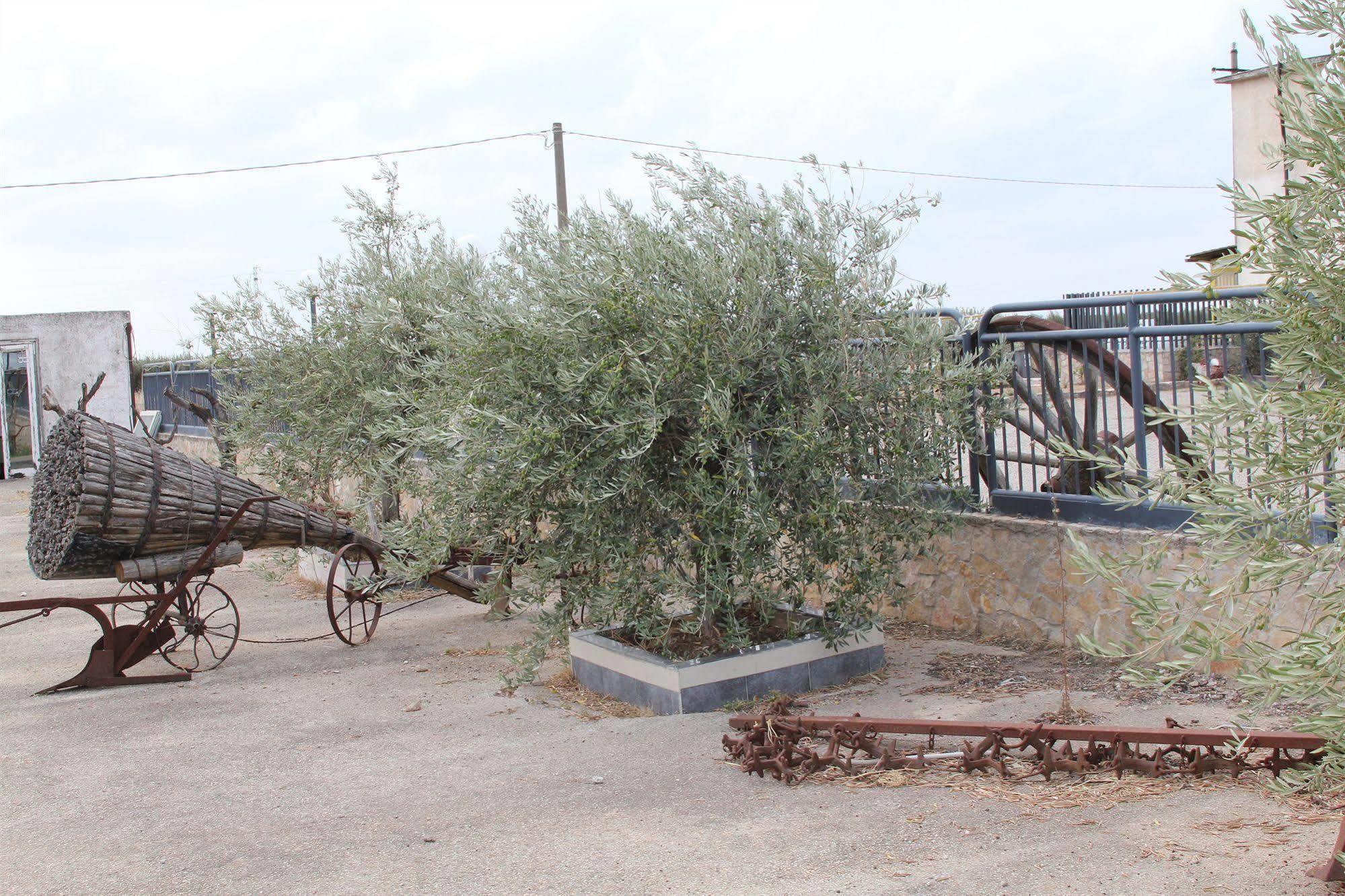 Agriturismo Silos Agri Villa San Severo Kültér fotó